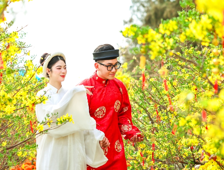 300 gốc mai nở vàng rực, TP.HCM thêm điểm du xuân hoàn toàn miễn phí