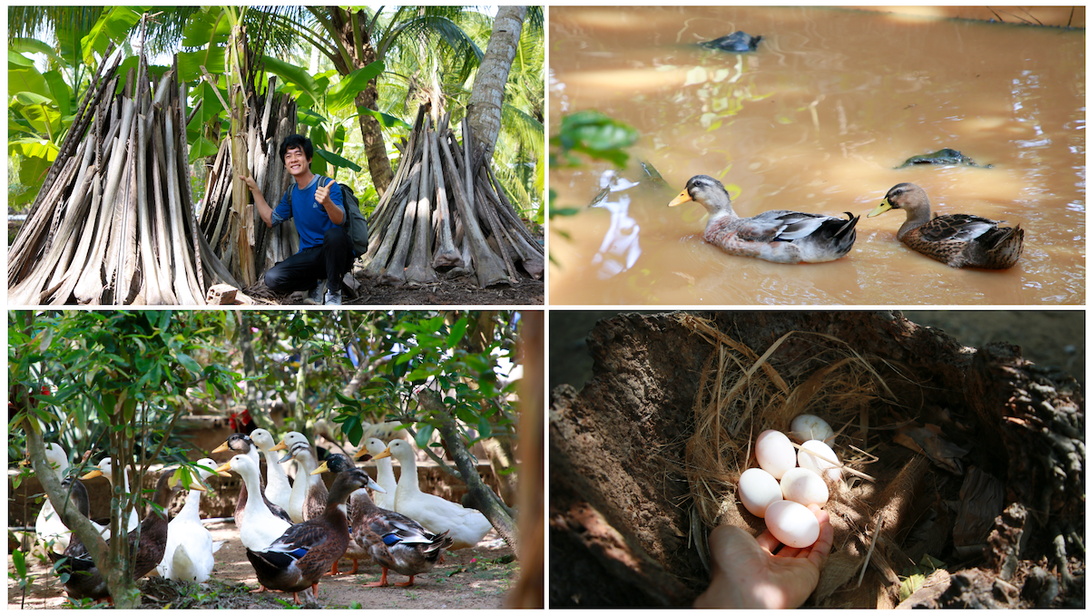 nhi hoa: noi ky uc lang que nam bo van con hien huu - 10