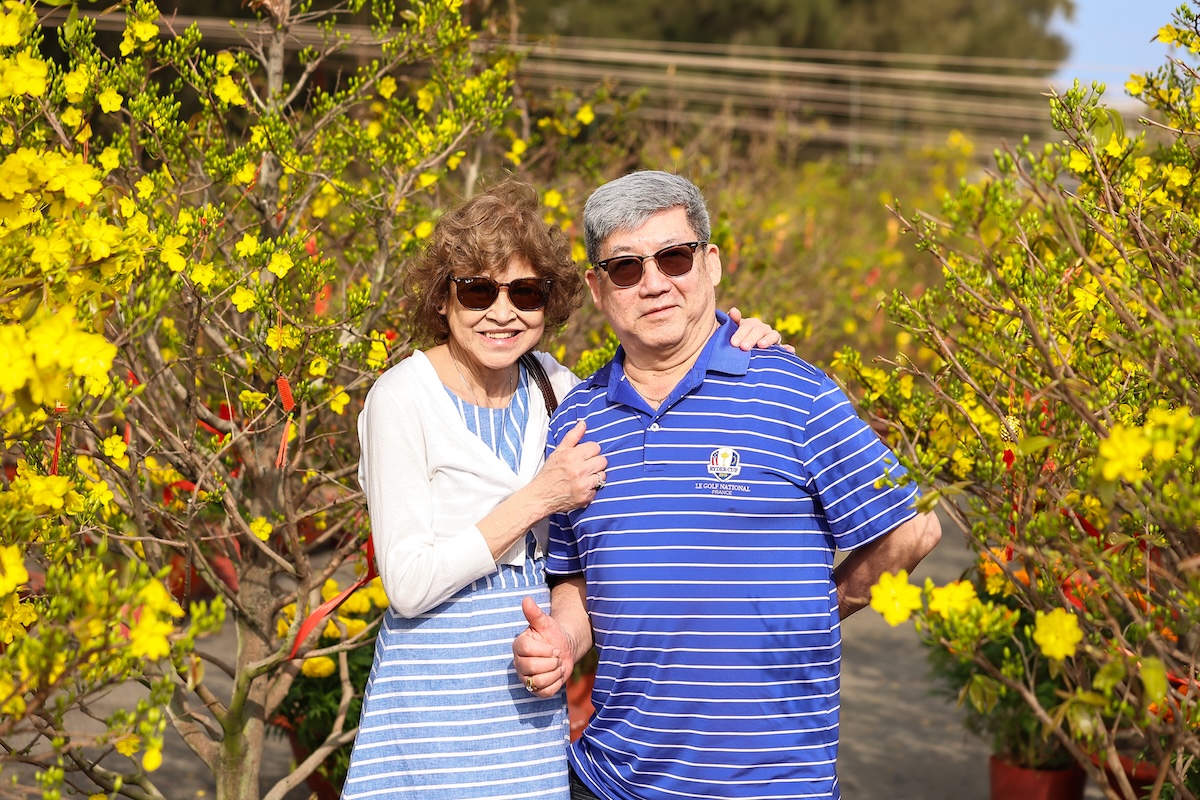 300 goc mai no vang ruc, tp.hcm them diem du xuan hoan toan mien phi - 3