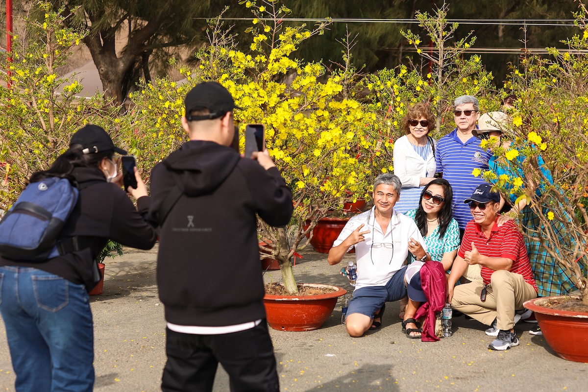 300 goc mai no vang ruc, tp.hcm them diem du xuan hoan toan mien phi - 4