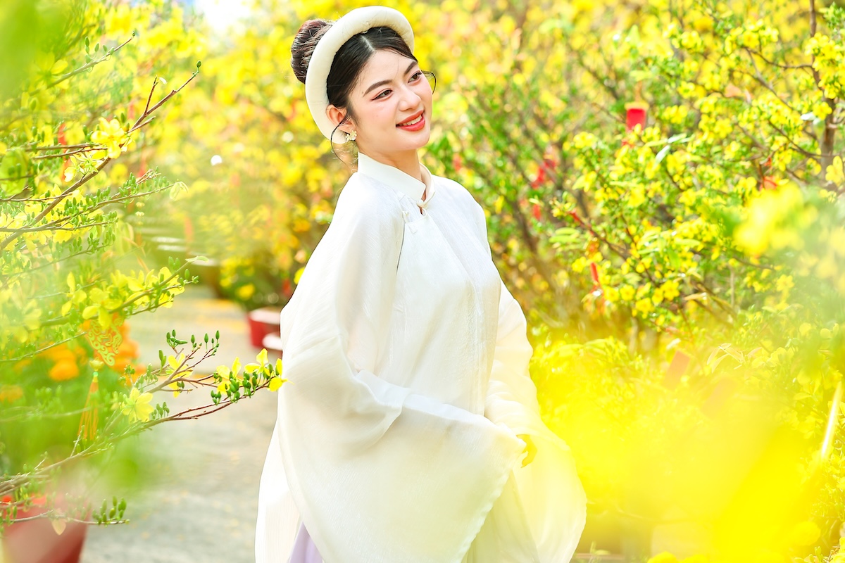 300 goc mai no vang ruc, tp.hcm them diem du xuan hoan toan mien phi - 2