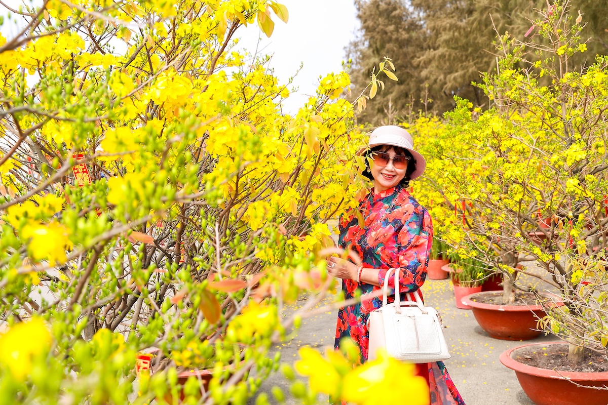 300 goc mai no vang ruc, tp.hcm them diem du xuan hoan toan mien phi - 6