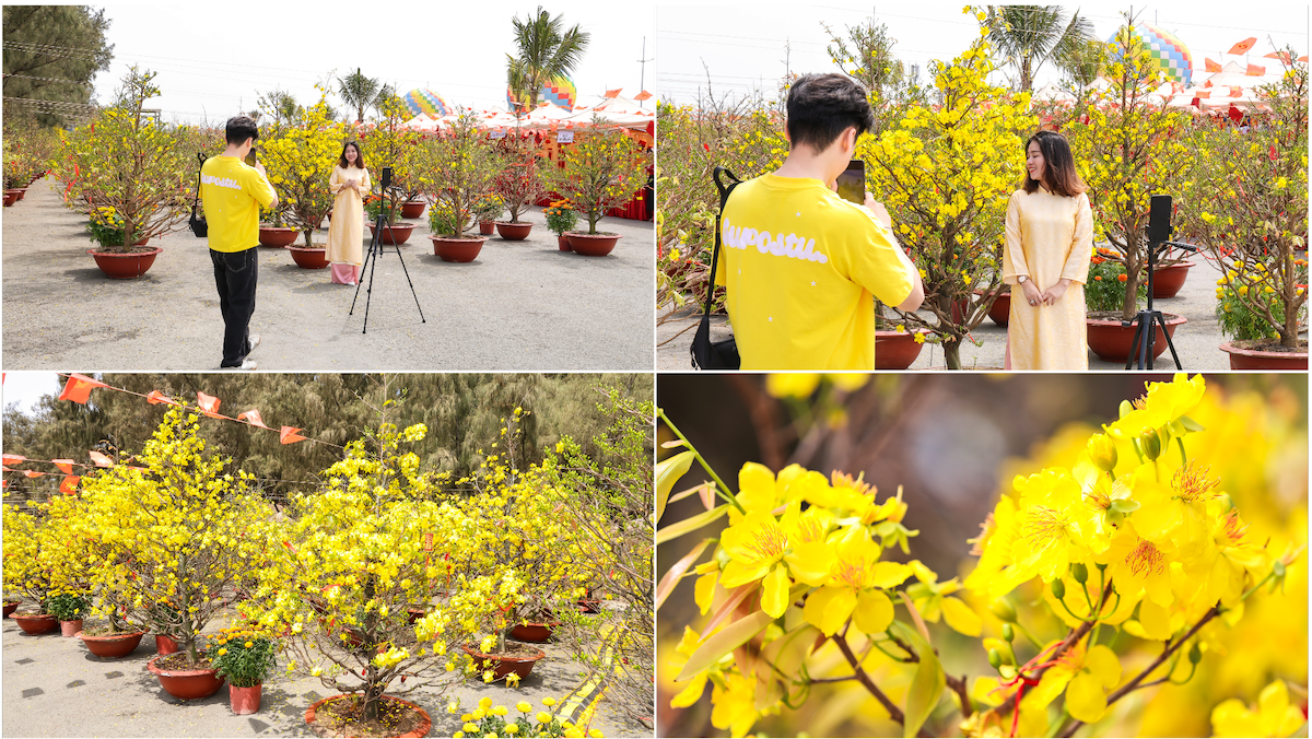 300 goc mai no vang ruc, tp.hcm them diem du xuan hoan toan mien phi - 7