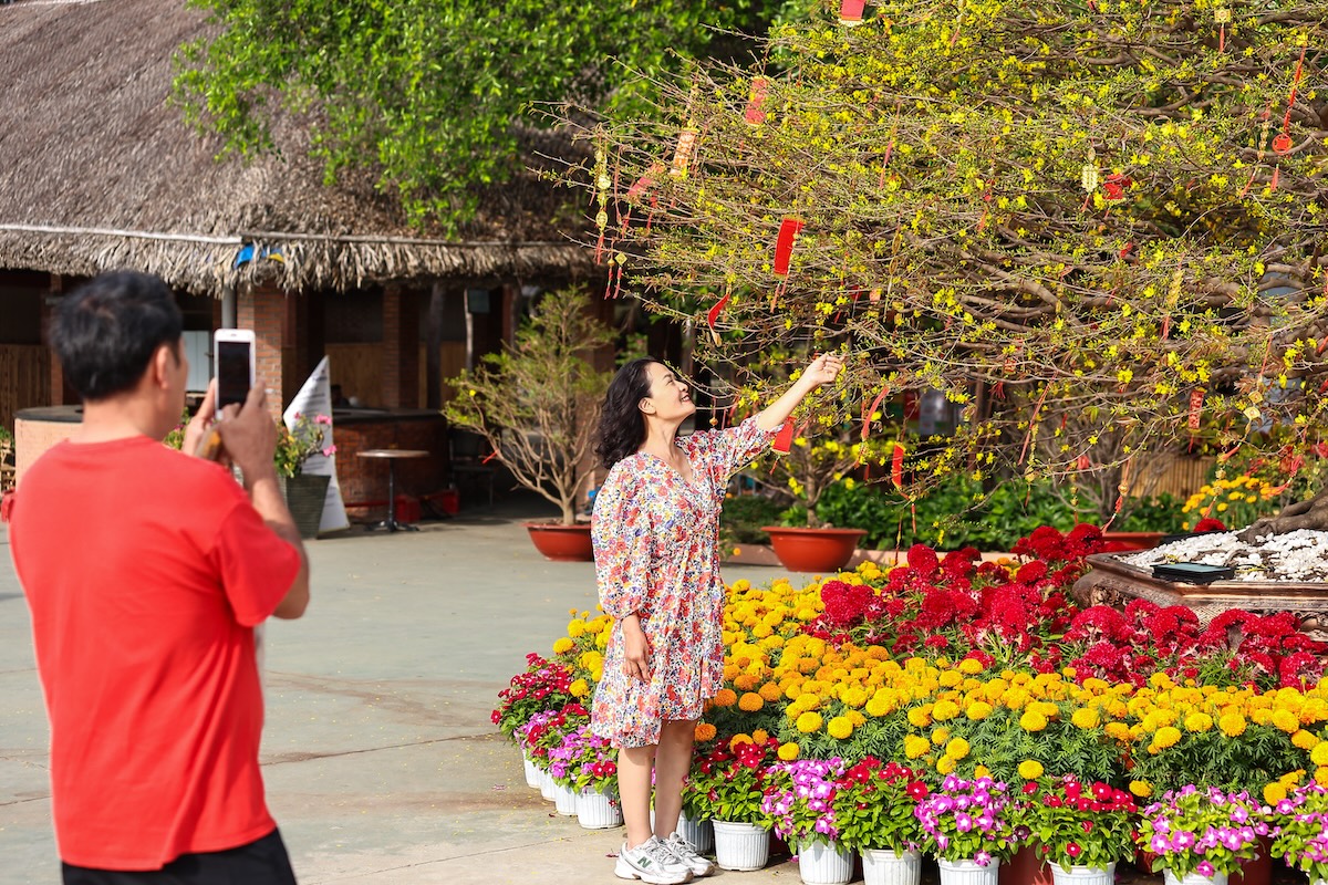 300 goc mai no vang ruc, tp.hcm them diem du xuan hoan toan mien phi - 14