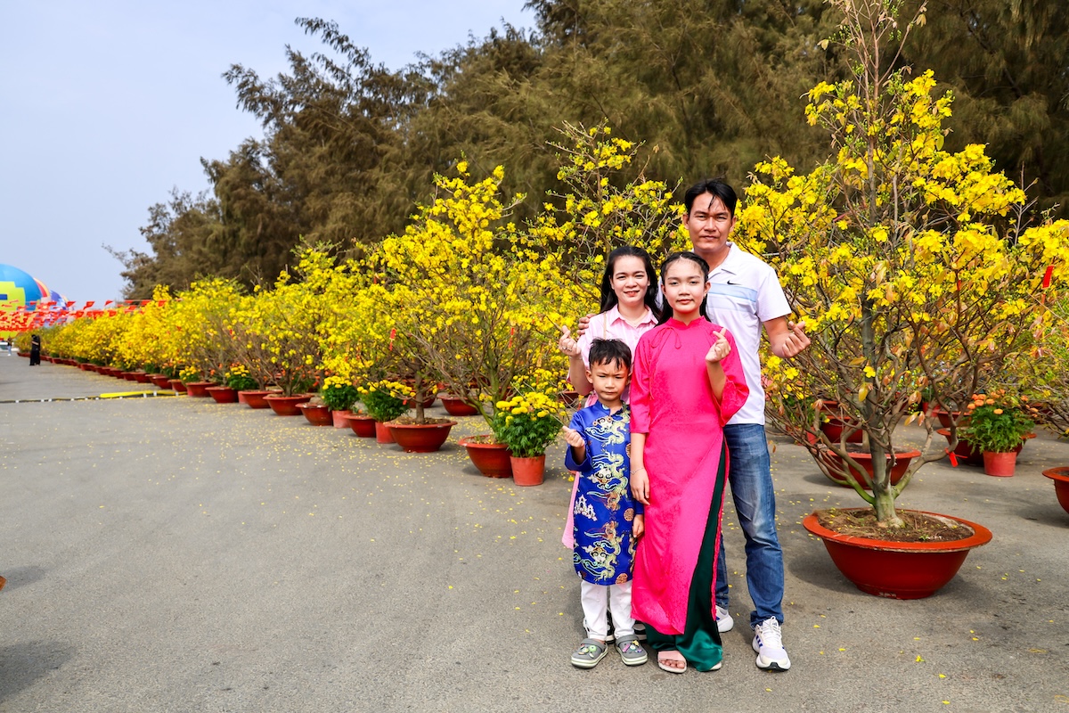 300 goc mai no vang ruc, tp.hcm them diem du xuan hoan toan mien phi - 8