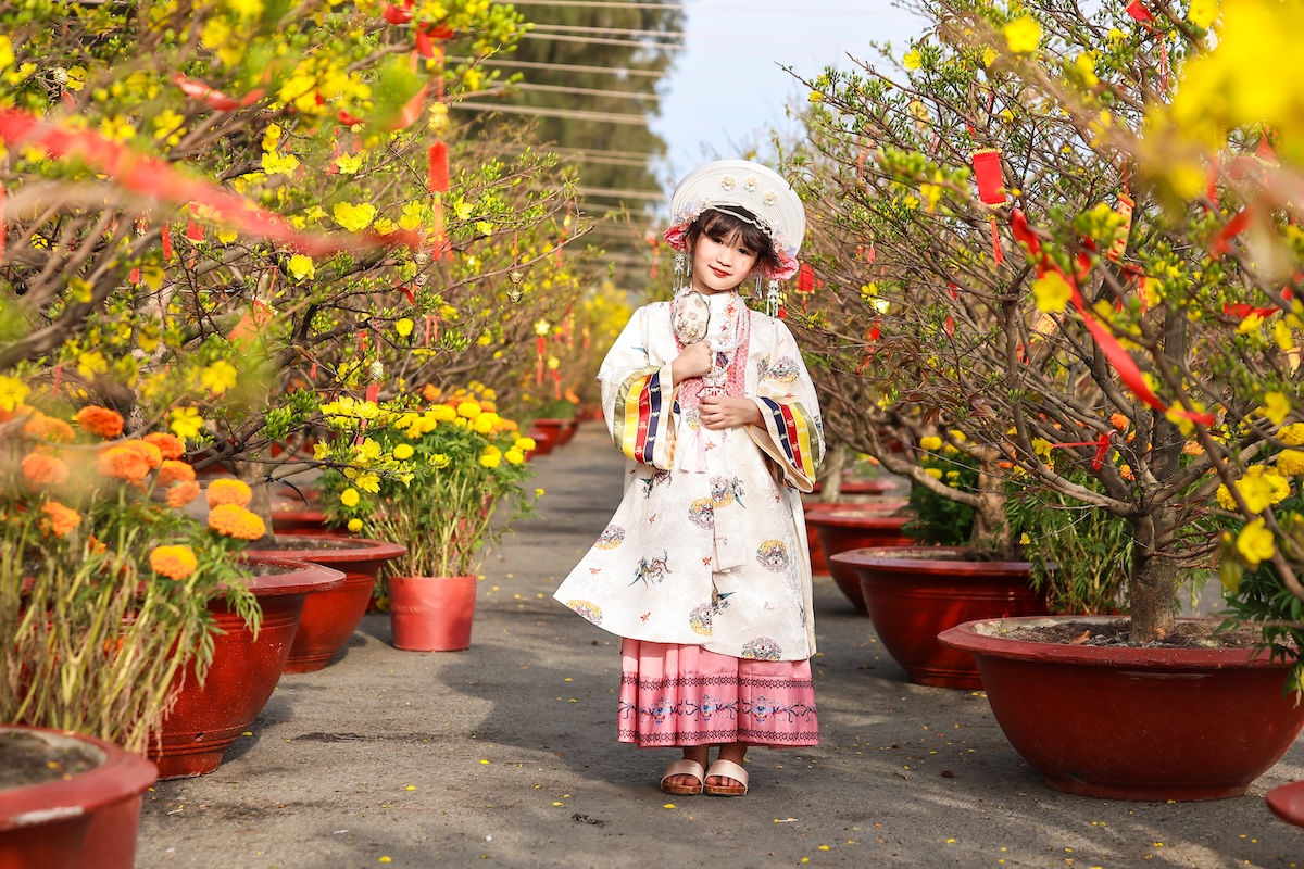 300 goc mai no vang ruc, tp.hcm them diem du xuan hoan toan mien phi - 5