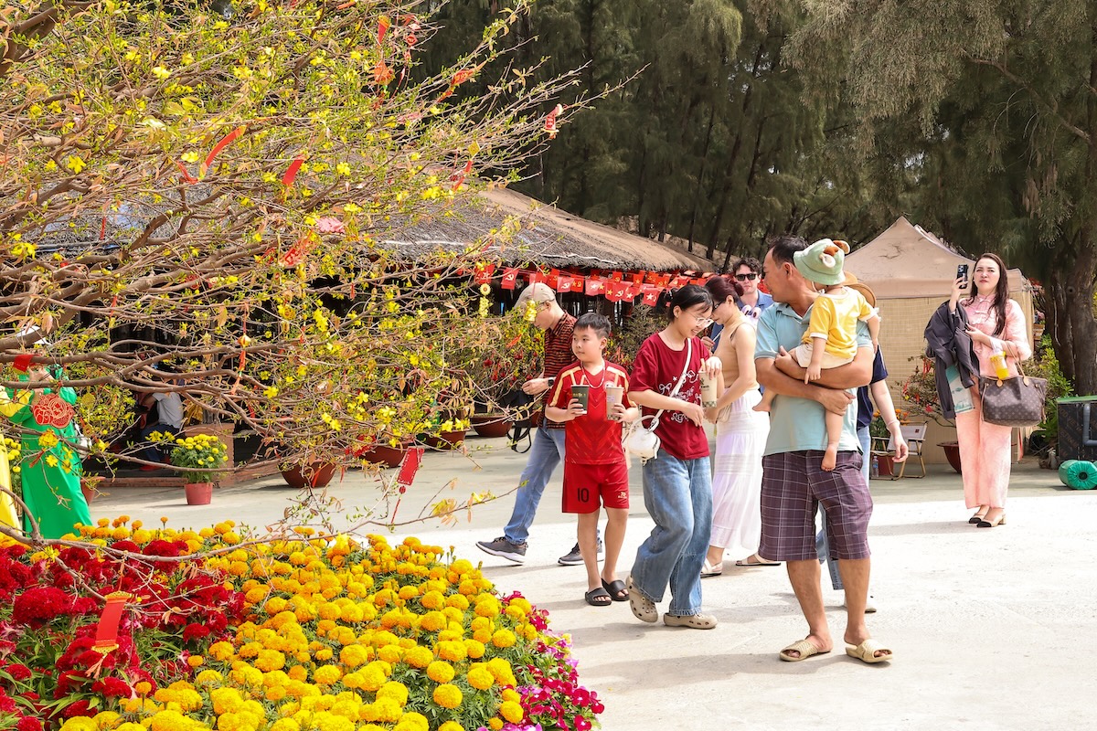 300 goc mai no vang ruc, tp.hcm them diem du xuan hoan toan mien phi - 13