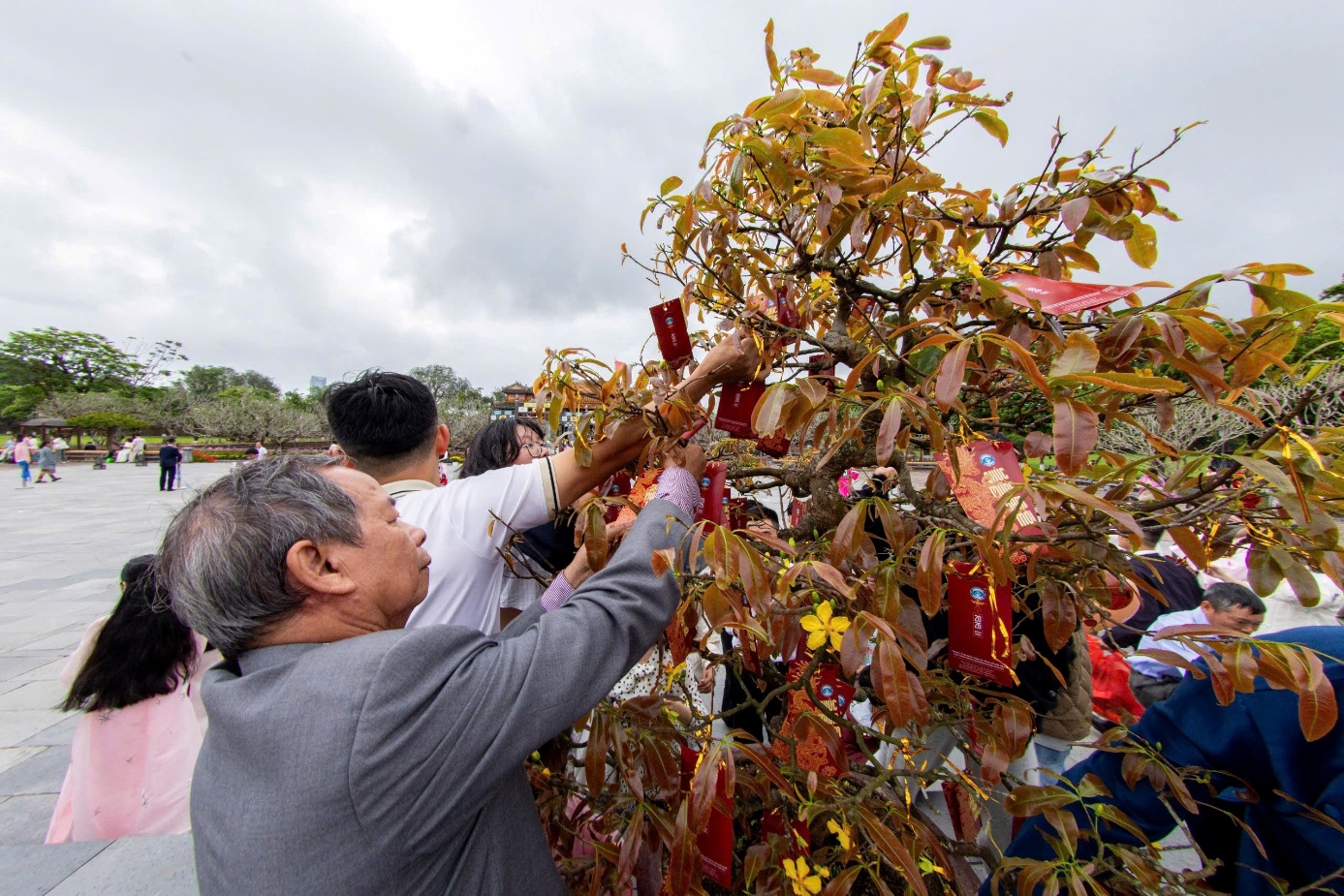 Du khách vào Hoàng cung hái lộc đầu năm, trải nghiệm trò chơi cung đình - 3