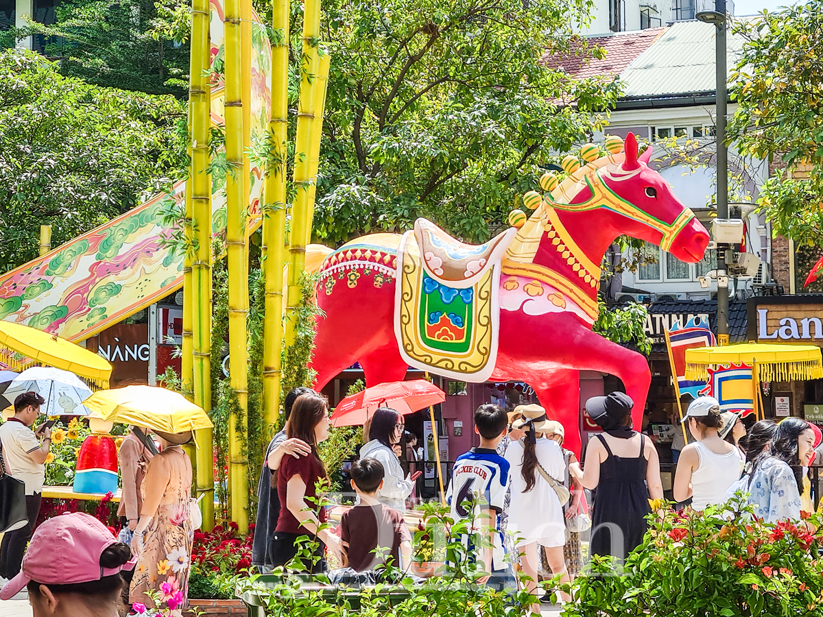 Giữa trưa ‘đội nắng’ săn ảnh đẹp cùng linh vật Đường hoa Nguyễn Huệ xuân Bính Ngọ - 8