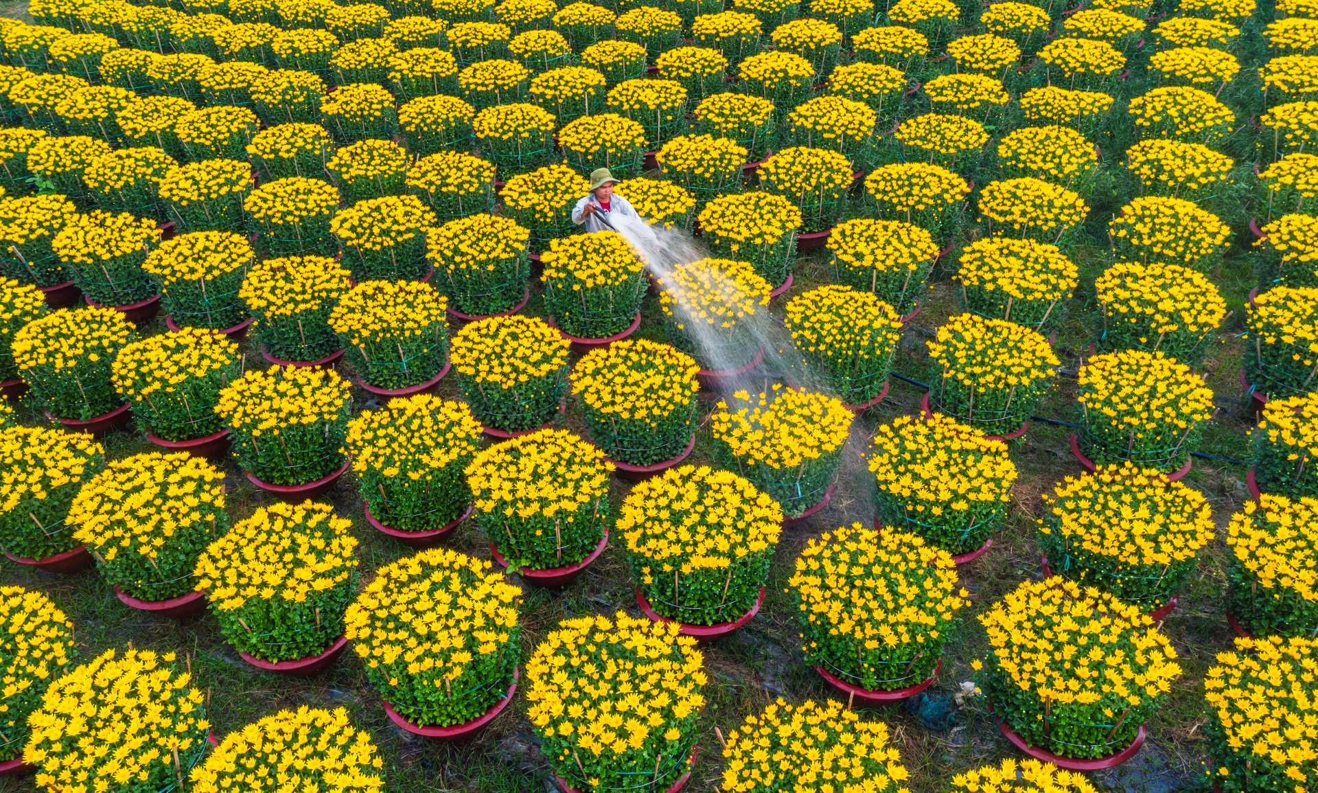 ve lang hoa gia kiem, gap nhung nguoi nong dan can man 'lam ra tet' - 1