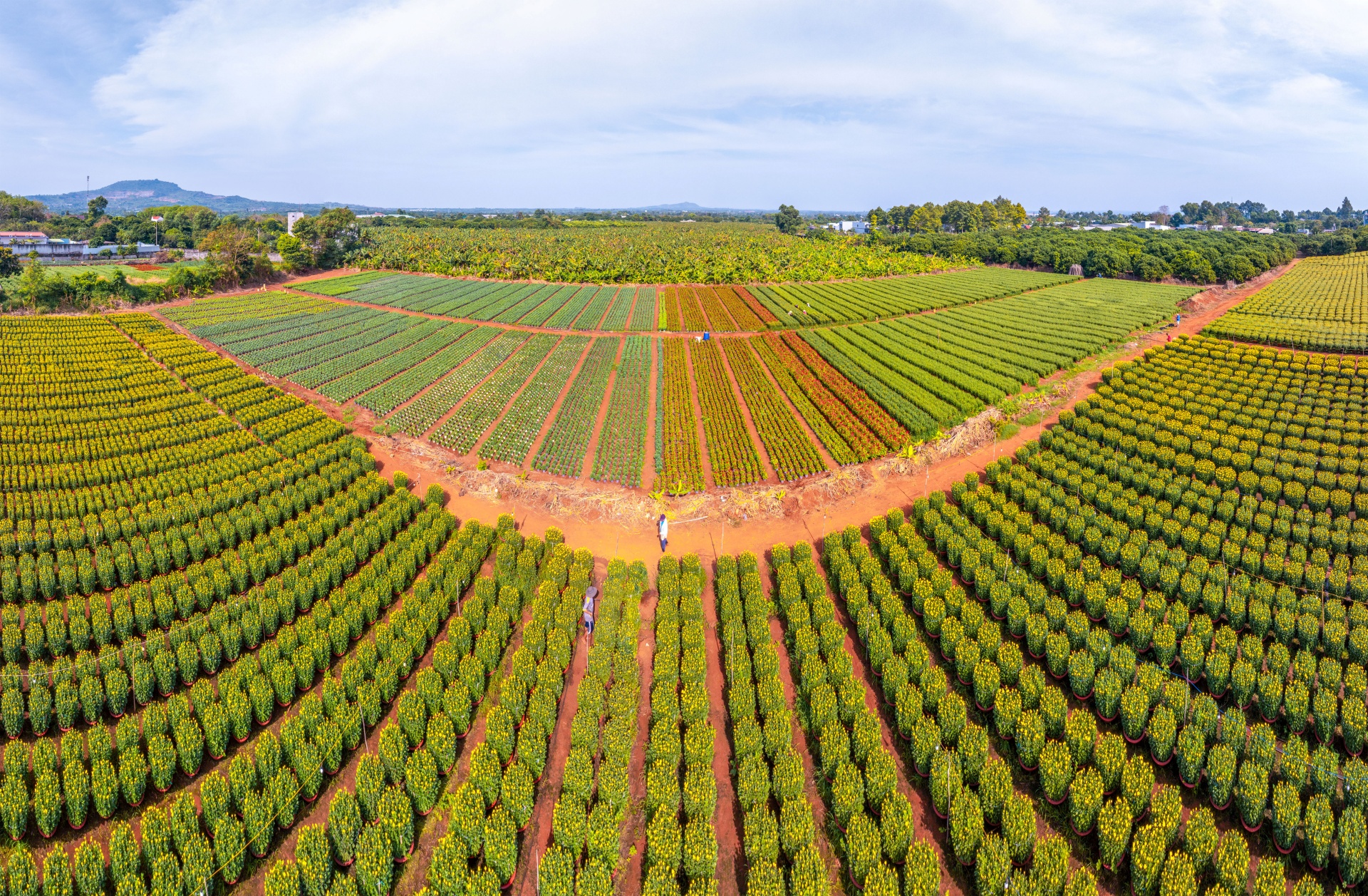 ve lang hoa gia kiem, gap nhung nguoi nong dan can man 'lam ra tet' - 2