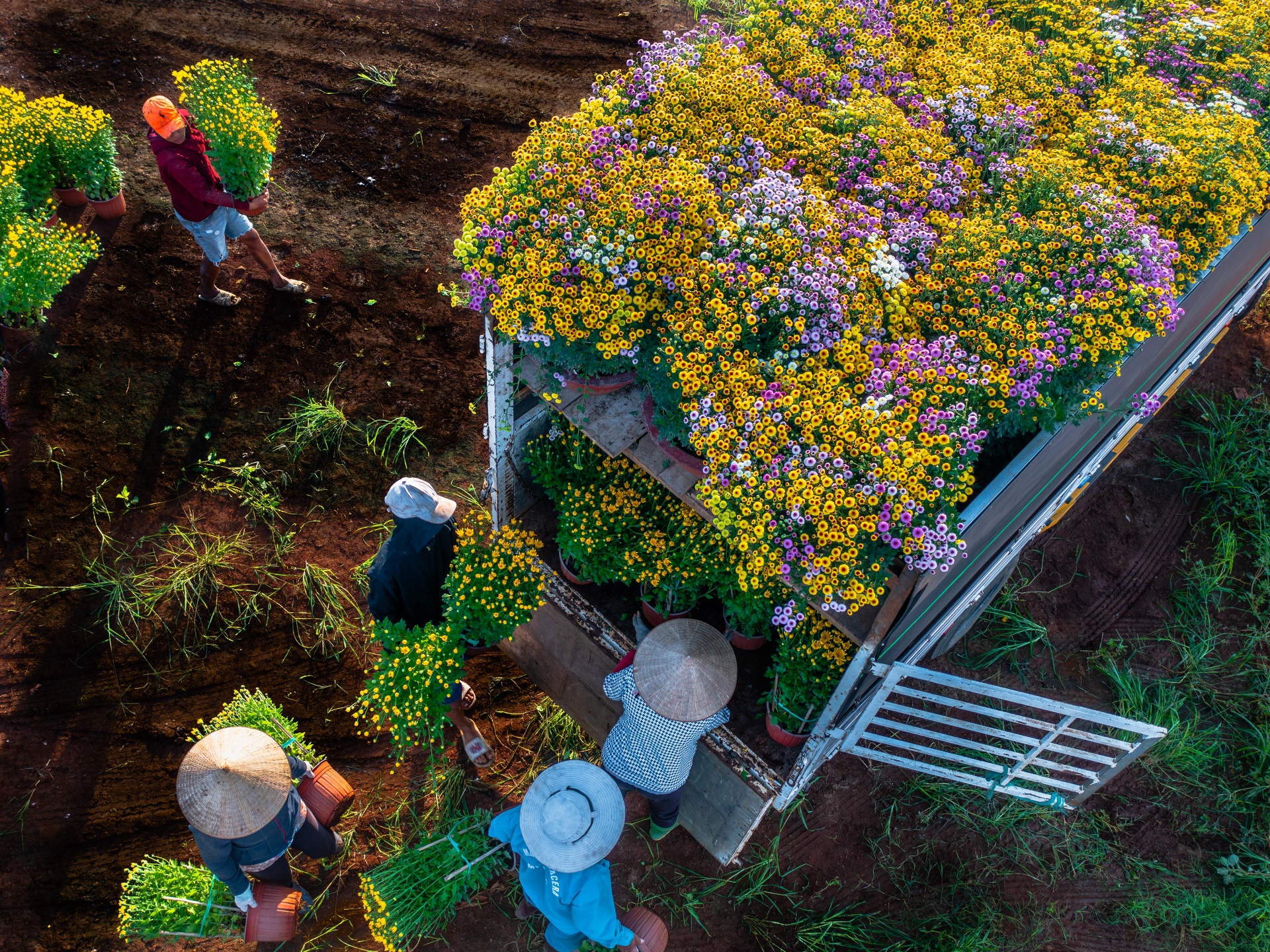 ve lang hoa gia kiem, gap nhung nguoi nong dan can man 'lam ra tet' - 9