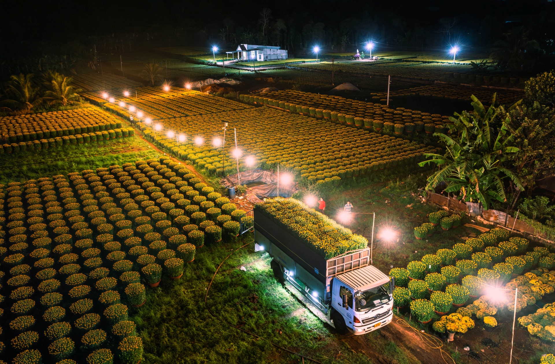 ve lang hoa gia kiem, gap nhung nguoi nong dan can man 'lam ra tet' - 11