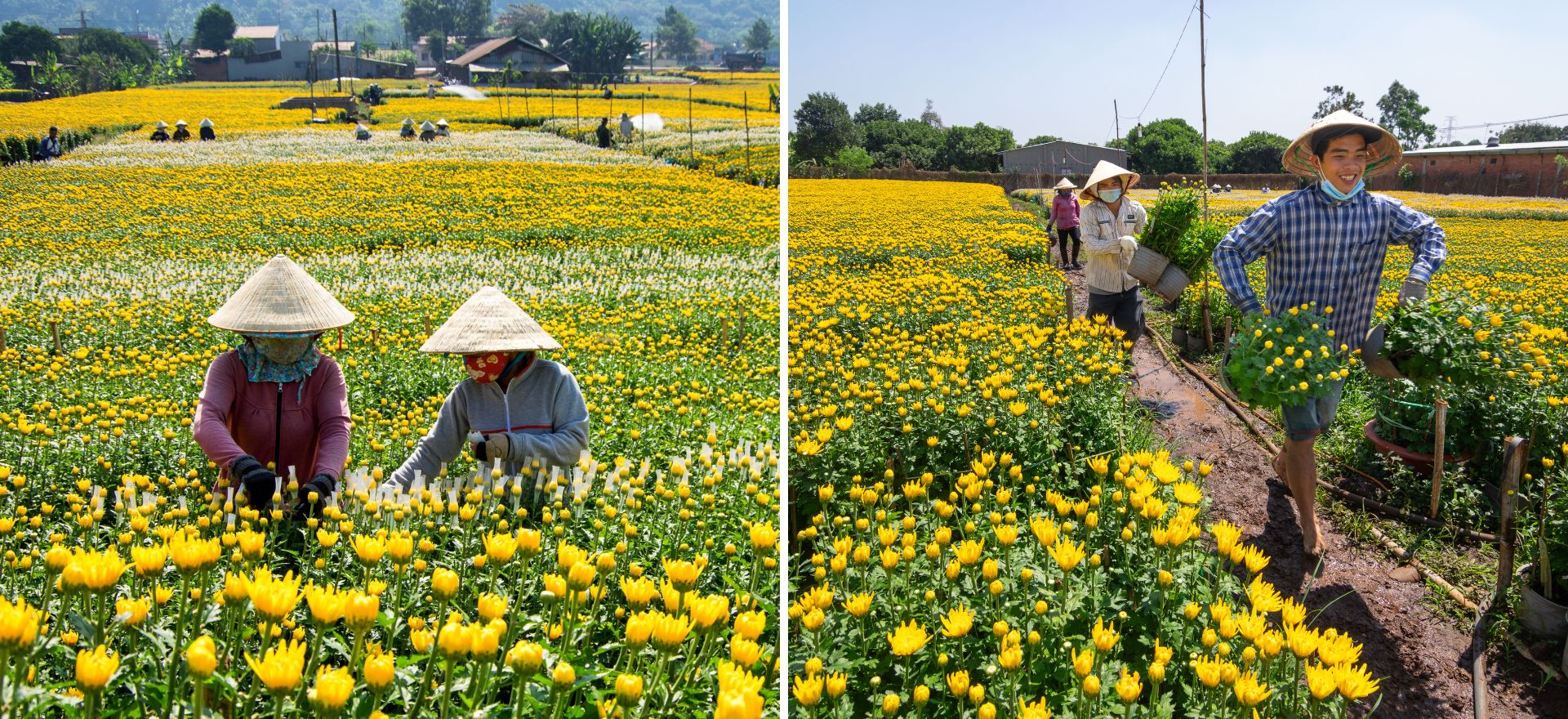 ve lang hoa gia kiem, gap nhung nguoi nong dan can man 'lam ra tet' - 12