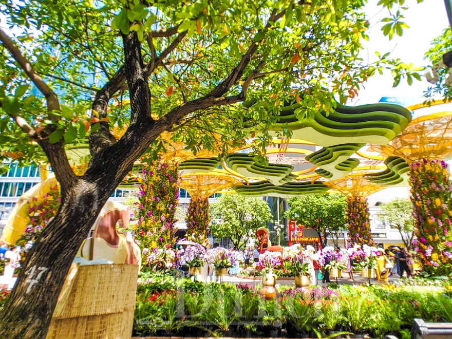 Giữa trưa ‘đội nắng’ săn ảnh đẹp cùng linh vật Đường hoa Nguyễn Huệ xuân Bính Ngọ - 12