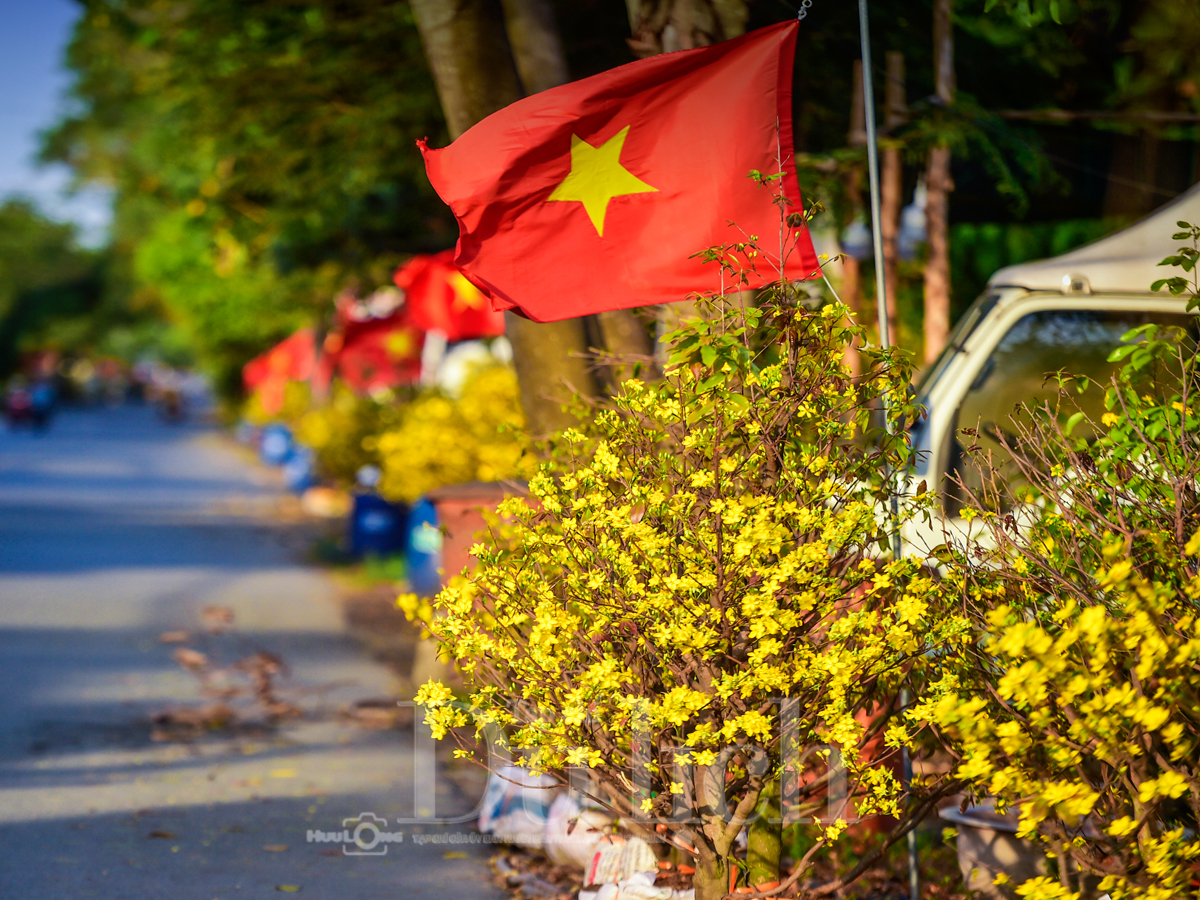 'Giêng hai' gõ cửa, gió xuân dệt thảm vàng trên cánh đồng mai ươm nắng - 8