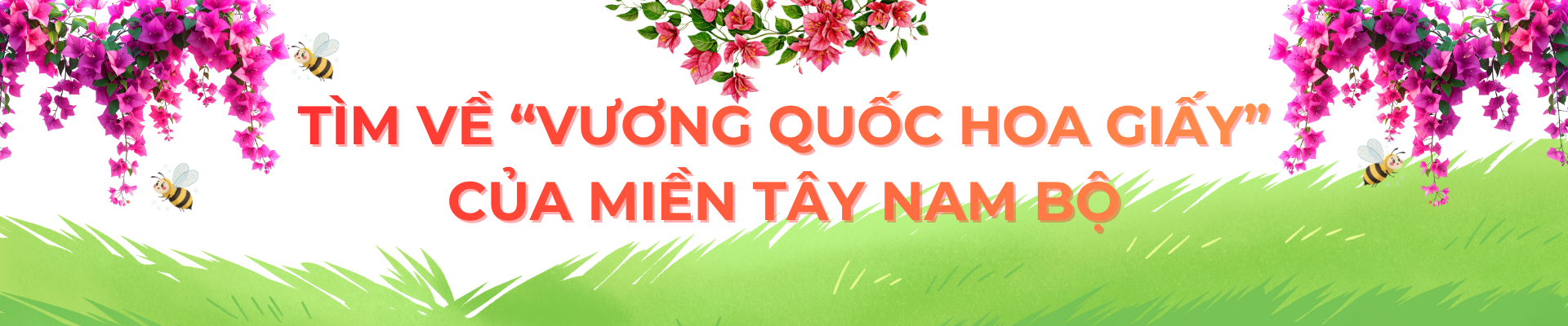 tim ve vuong quoc hoa giay hai thap ky can man 'det' sac xuan - 3