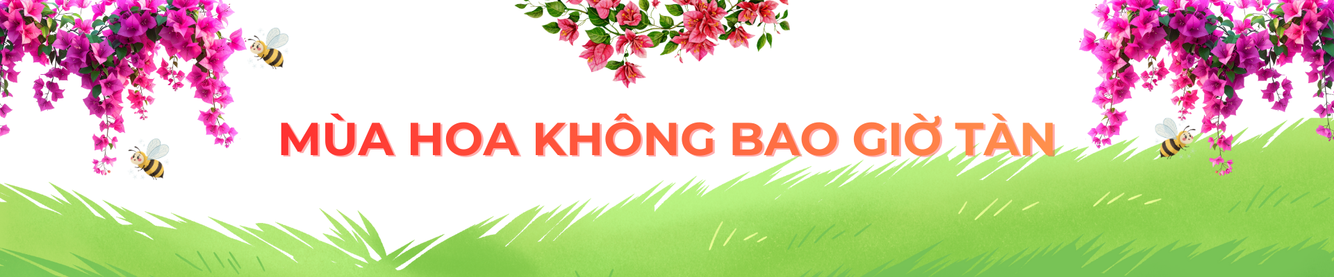 tim ve vuong quoc hoa giay hai thap ky can man 'det' sac xuan - 17