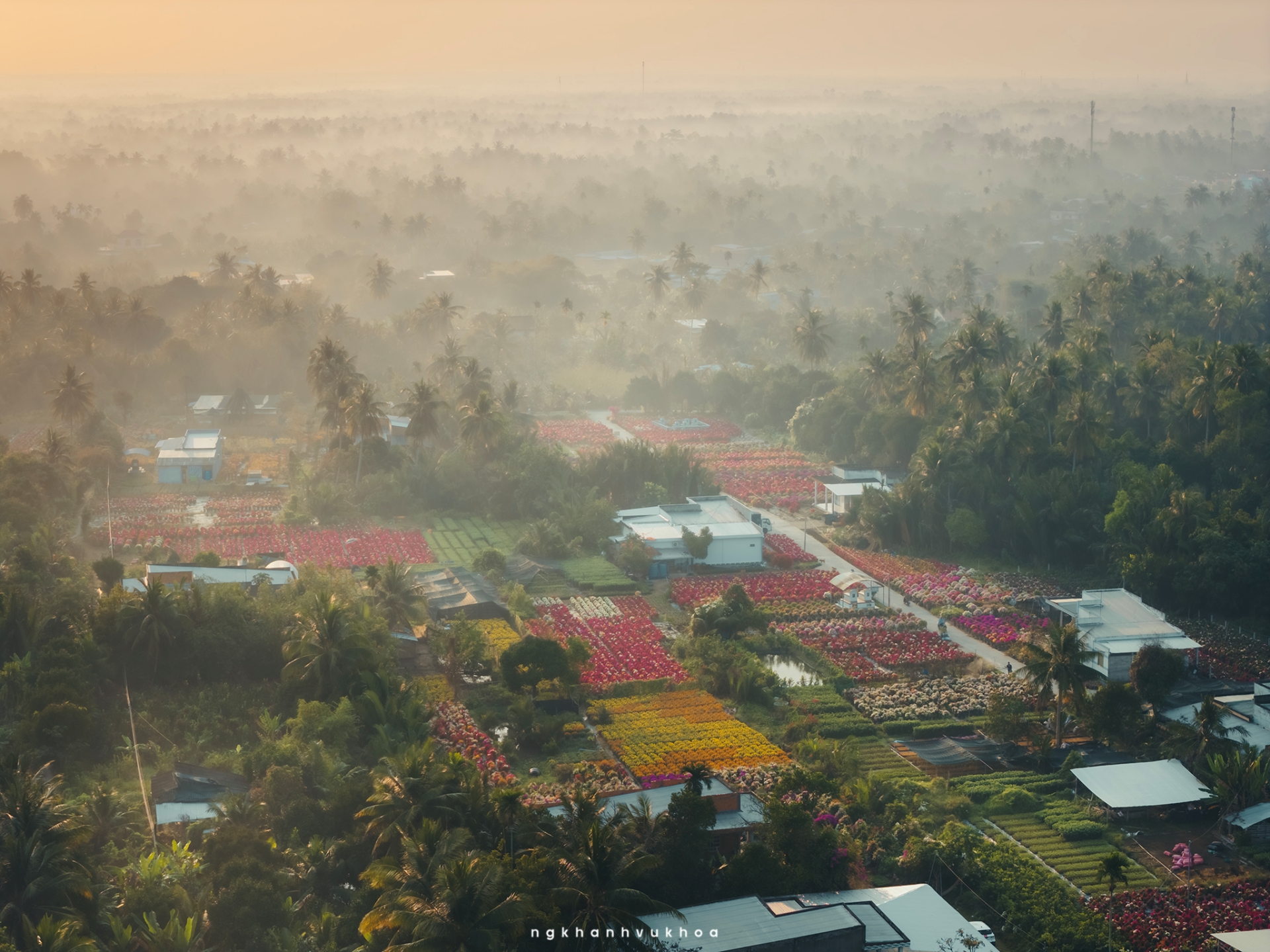 tim ve vuong quoc hoa giay hai thap ky can man 'det' sac xuan - 5