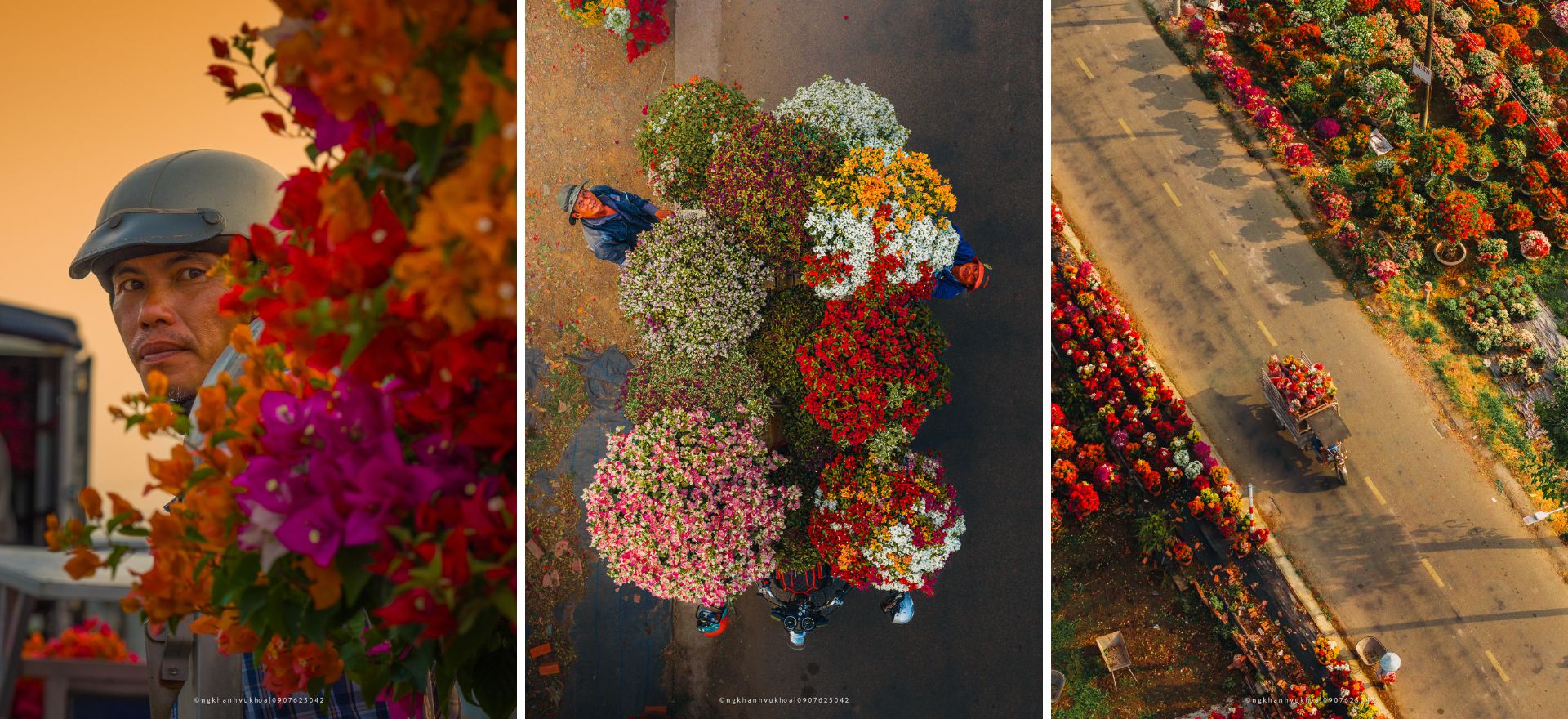 tim ve vuong quoc hoa giay hai thap ky can man 'det' sac xuan - 6