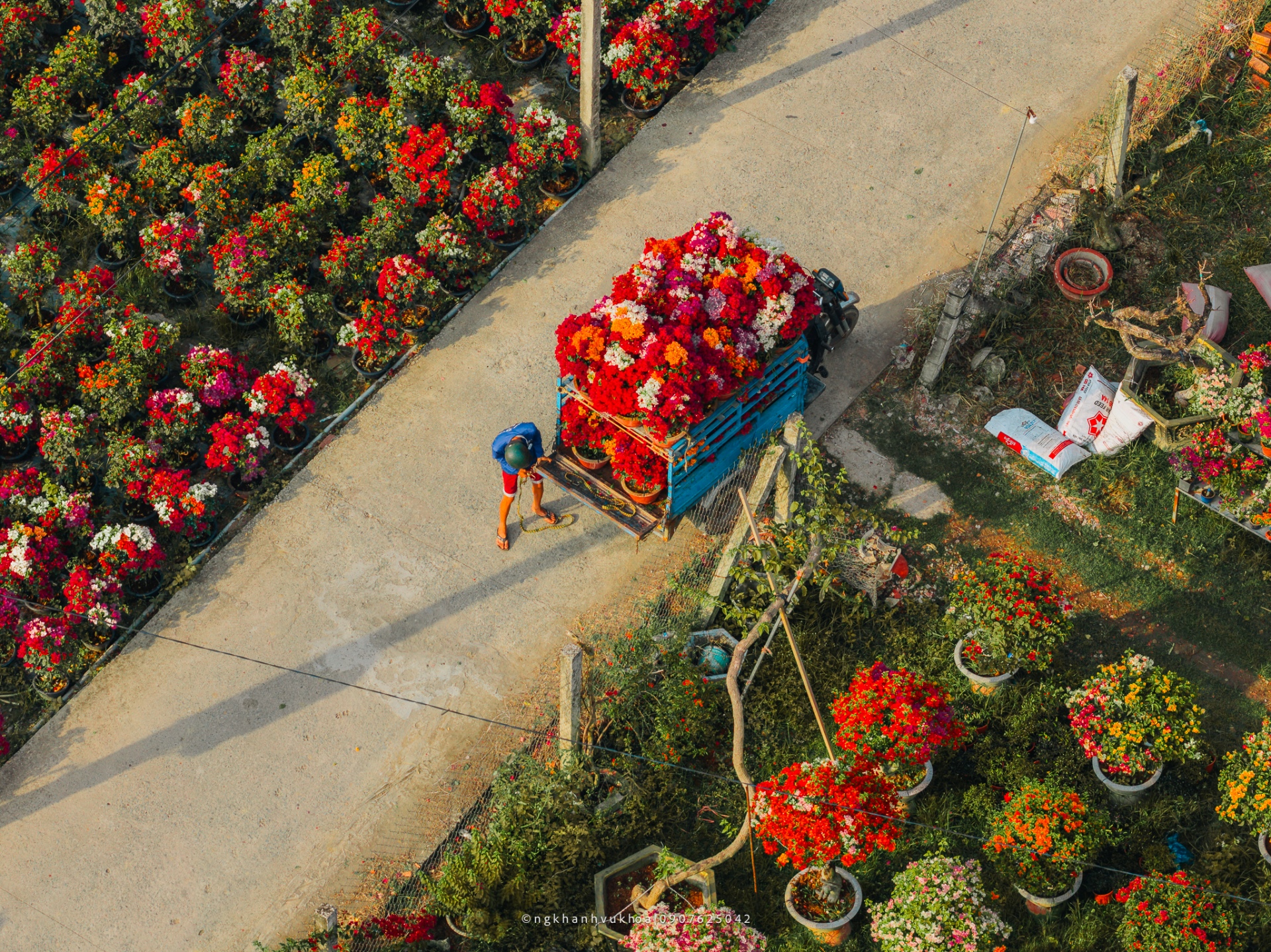 tim ve vuong quoc hoa giay hai thap ky can man 'det' sac xuan - 14