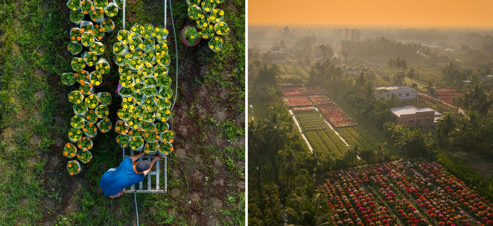 tim ve vuong quoc hoa giay hai thap ky can man 'det' sac xuan - 19