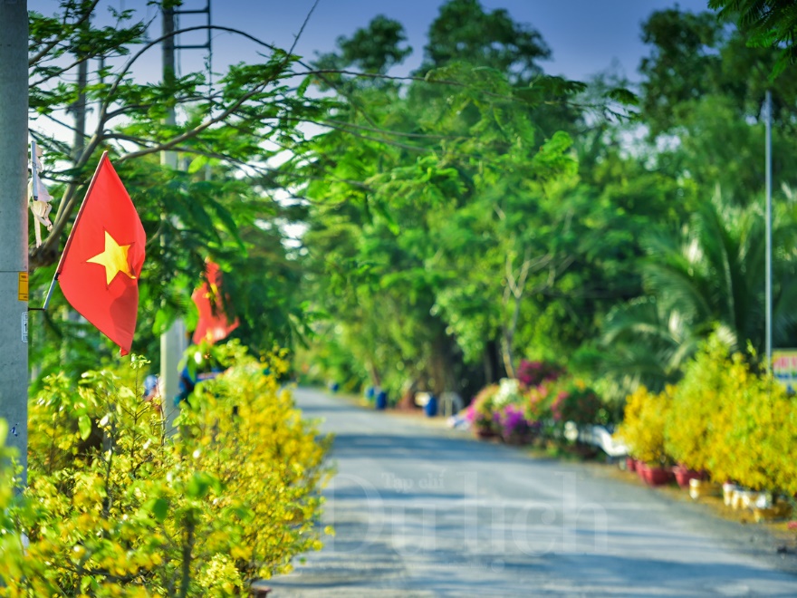 'Giêng hai' gõ cửa, gió xuân dệt thảm vàng trên cánh đồng mai ươm nắng - 7