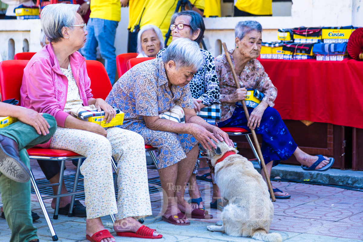 Hành trình ‘Giai điệu đơm xuân’ – Trạm dừng âm nhạc sưởi ấm trái tim người cao tuổi - 9