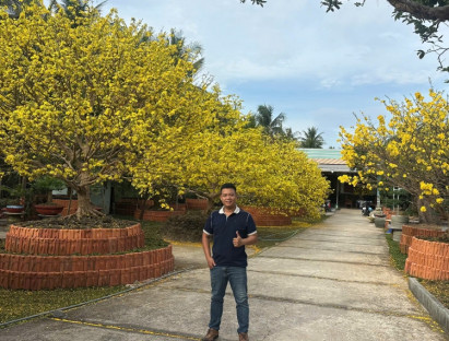 Chuyển động - Choáng ngợp vườn mai gần chục tỉ đồng nở rực, mở cửa miễn phí đến mùng 6 Tết