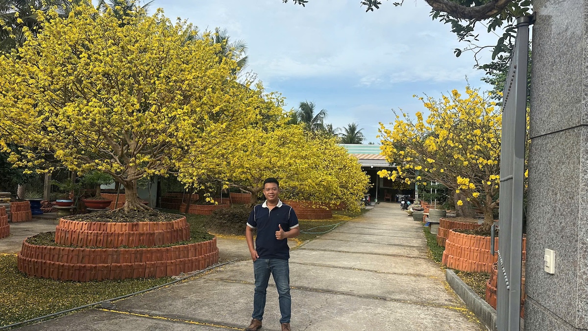 Choáng ngợp vườn mai gần chục tỉ đồng nở rực, mở cửa miễn phí đến mùng 6 Tết - 1