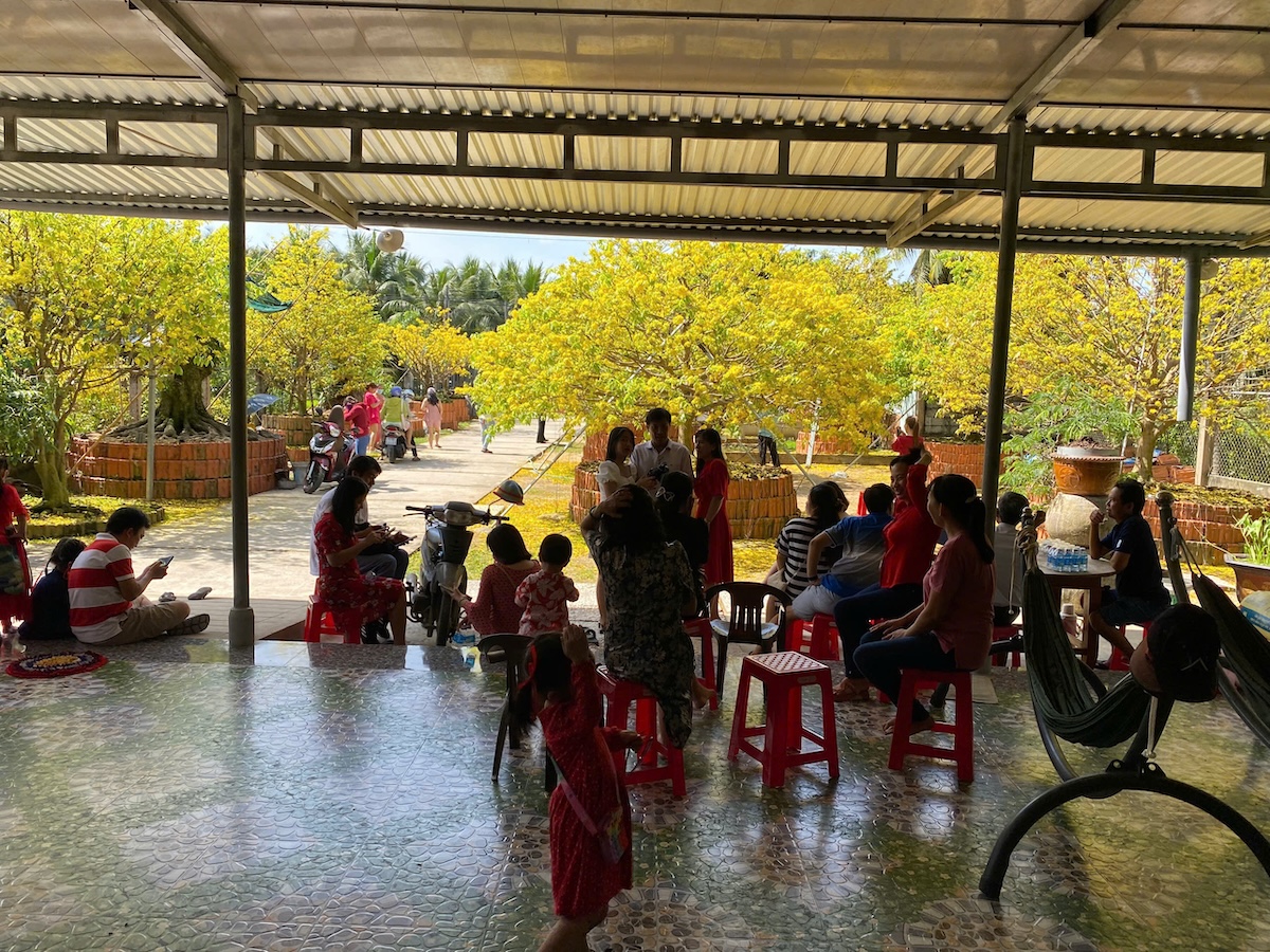 Choáng ngợp vườn mai gần chục tỉ đồng nở rực, mở cửa miễn phí đến mùng 6 Tết - 10