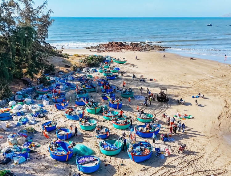 Đầu xuân cắm trại ở Bãi Ốc, thức dậy cùng nhịp sống của làng chài