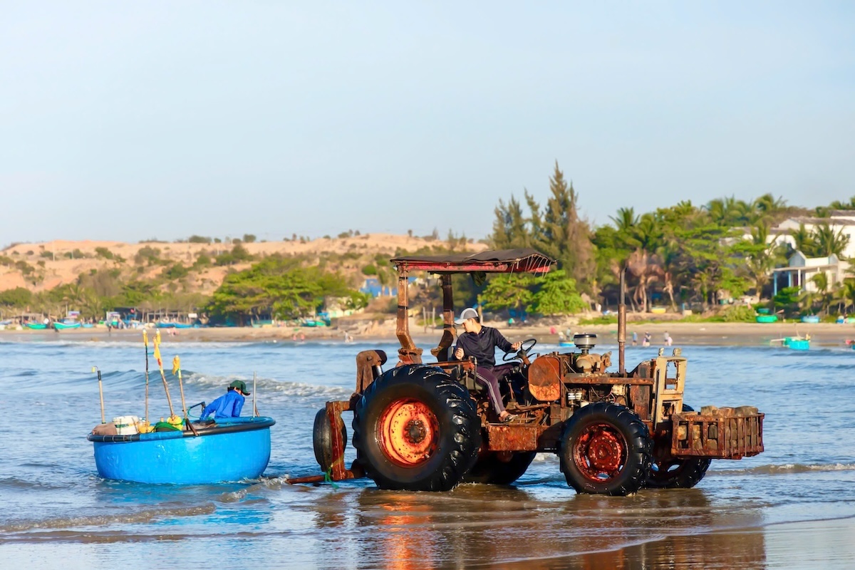 dau xuan cam trai o mui ne, thuc day cung nhip song cua lang chai - 12