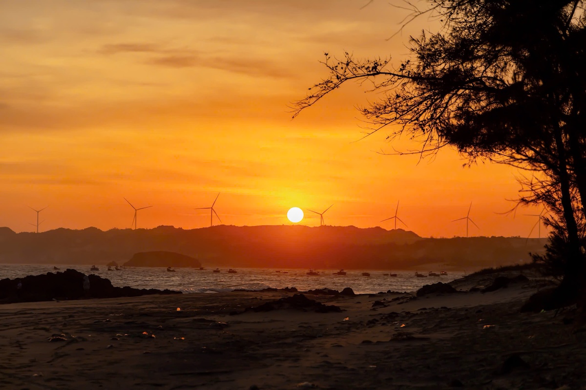 dau xuan cam trai o mui ne, thuc day cung nhip song cua lang chai - 9