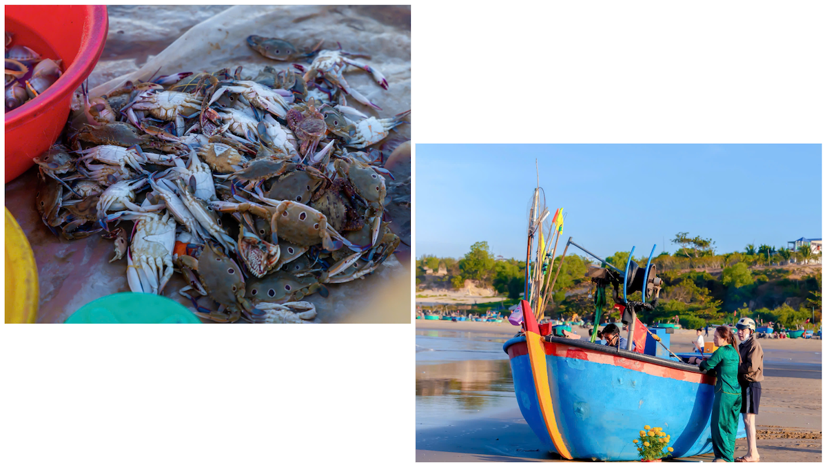 dau xuan cam trai o mui ne, thuc day cung nhip song cua lang chai - 11