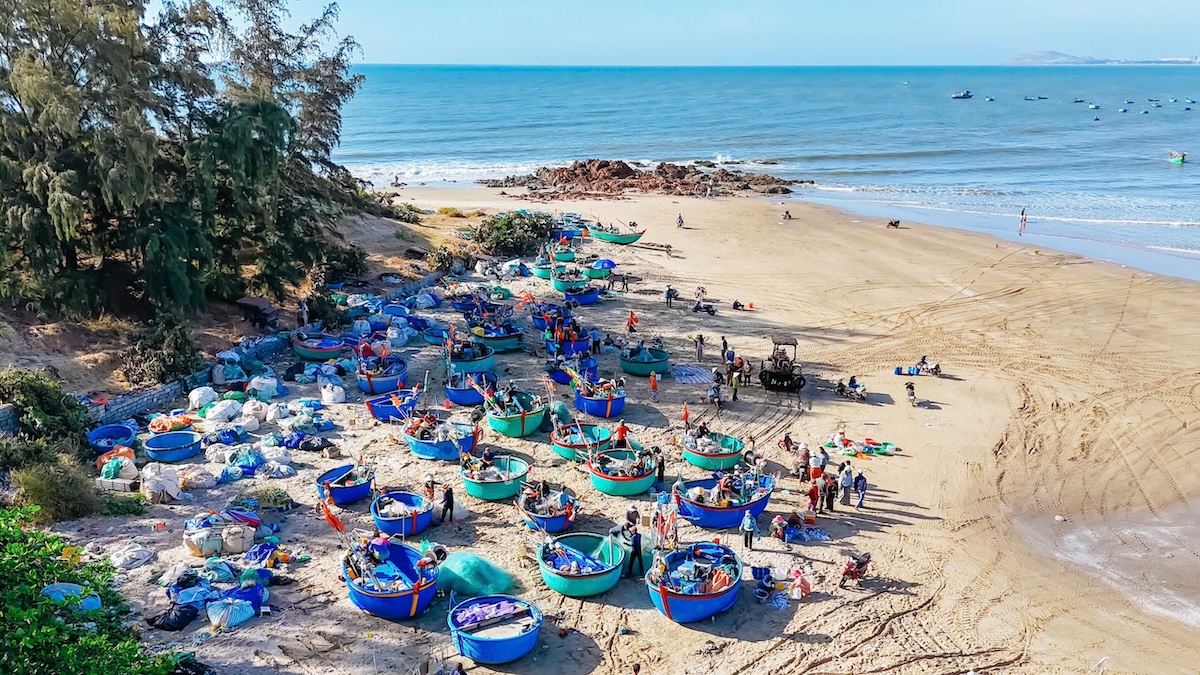 dau xuan cam trai o mui ne, thuc day cung nhip song cua lang chai - 15