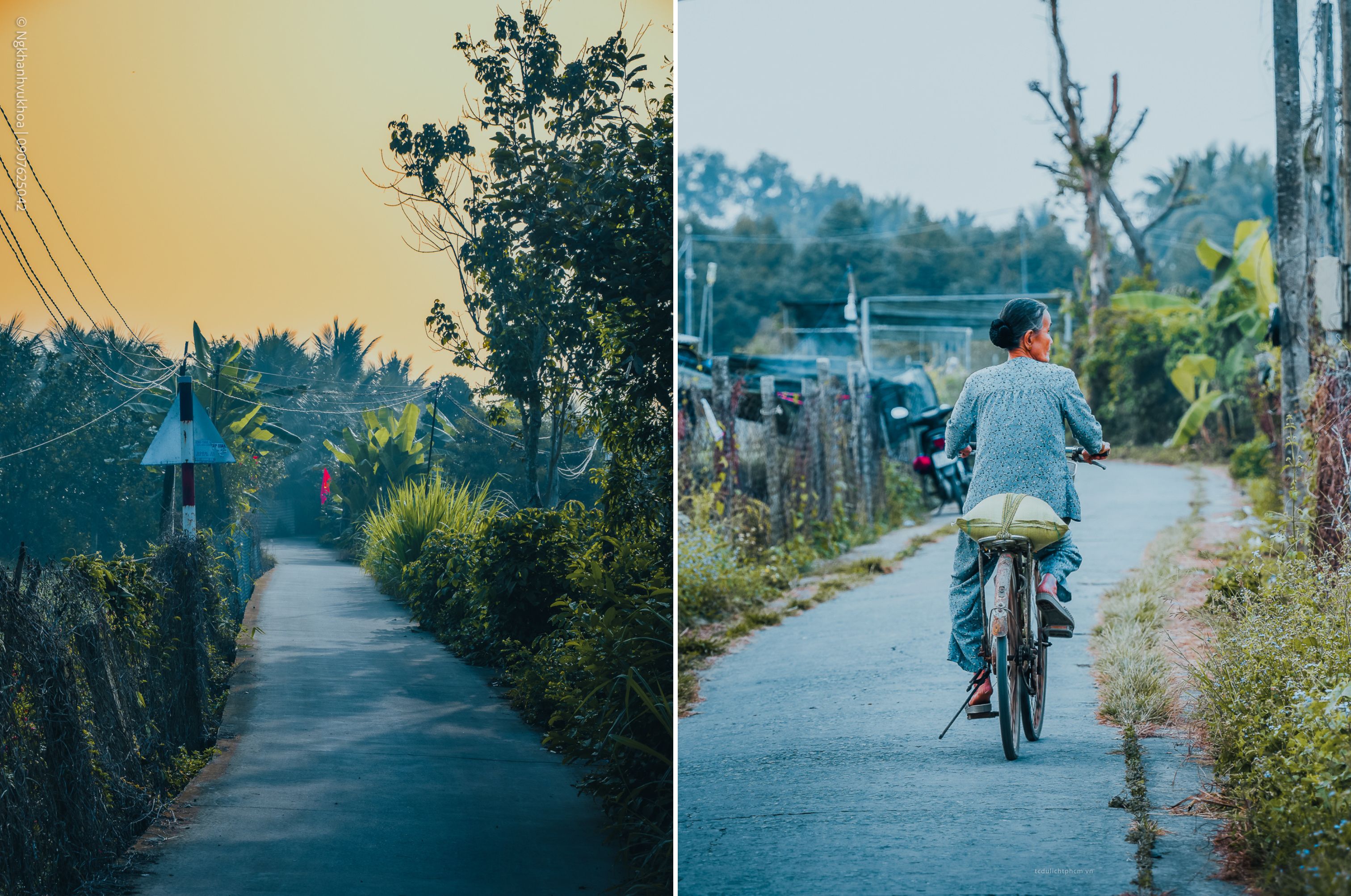 lang hoa my phong: suc song vuon choi sau mot mua hoa trac tro - 2