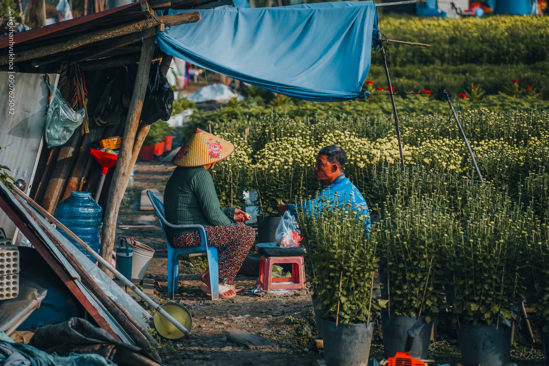 lang hoa my phong: suc song vuon choi sau mot mua hoa trac tro - 14