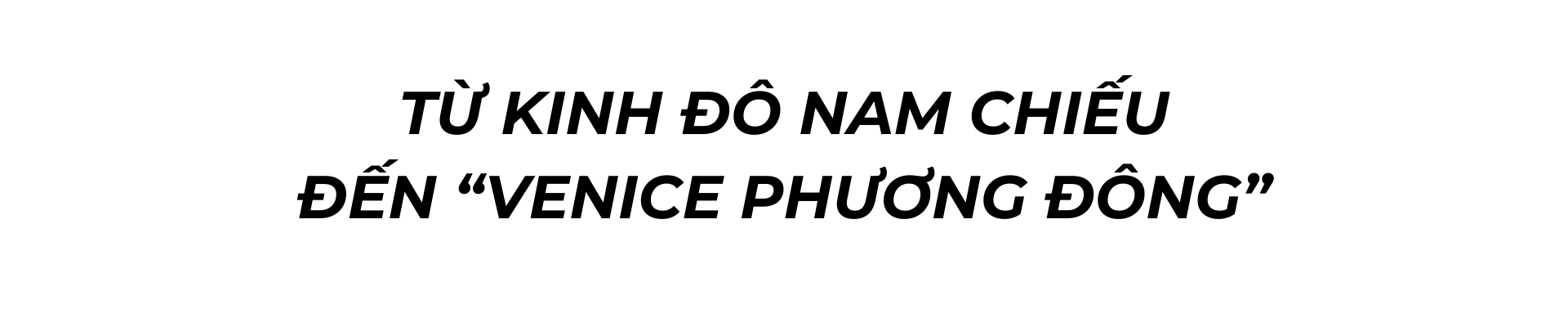 tra ma co dao: hanh trinh thien ly duoi banh xe co - 7