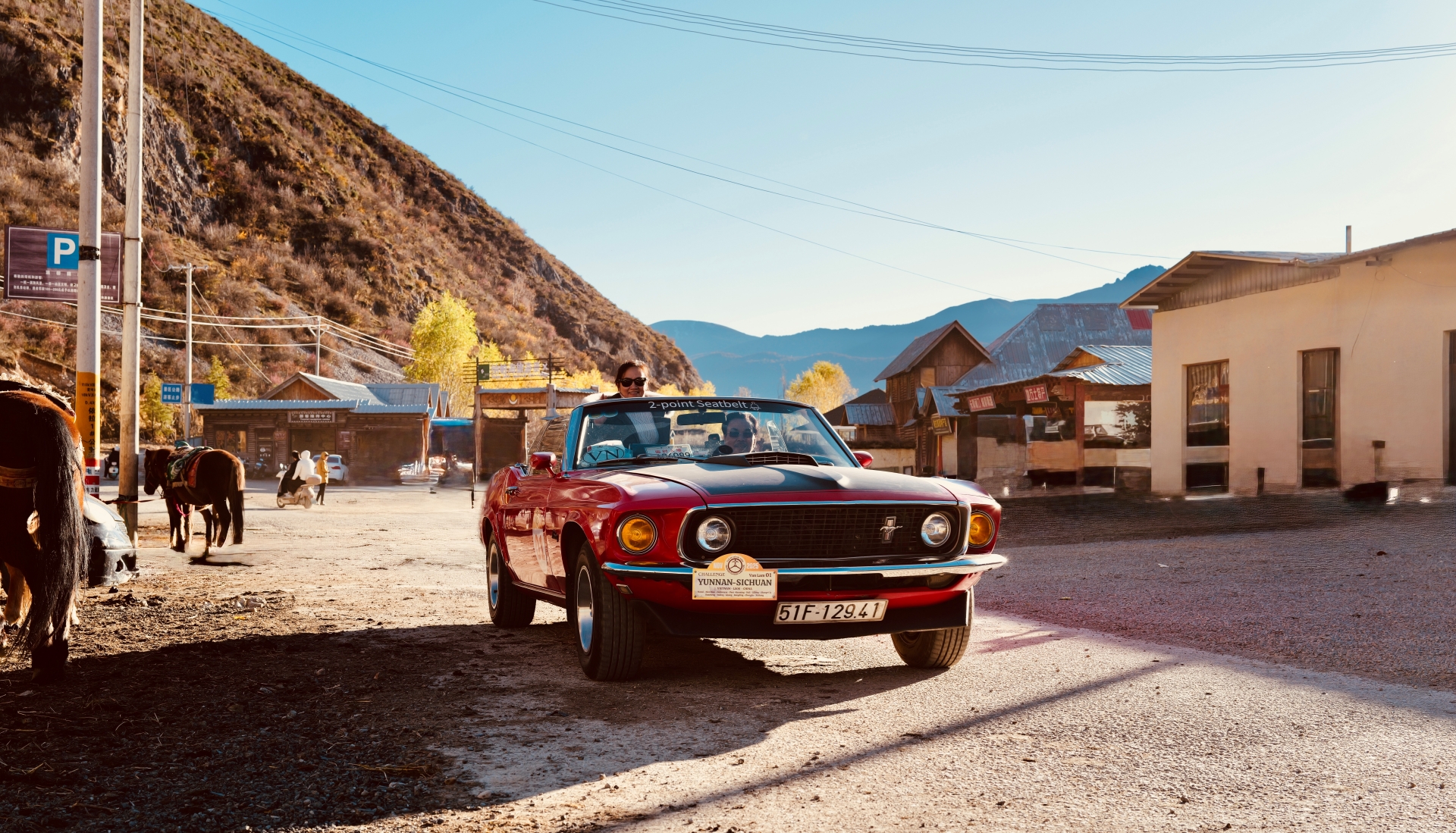 tra ma co dao: hanh trinh thien ly duoi banh xe co - 17