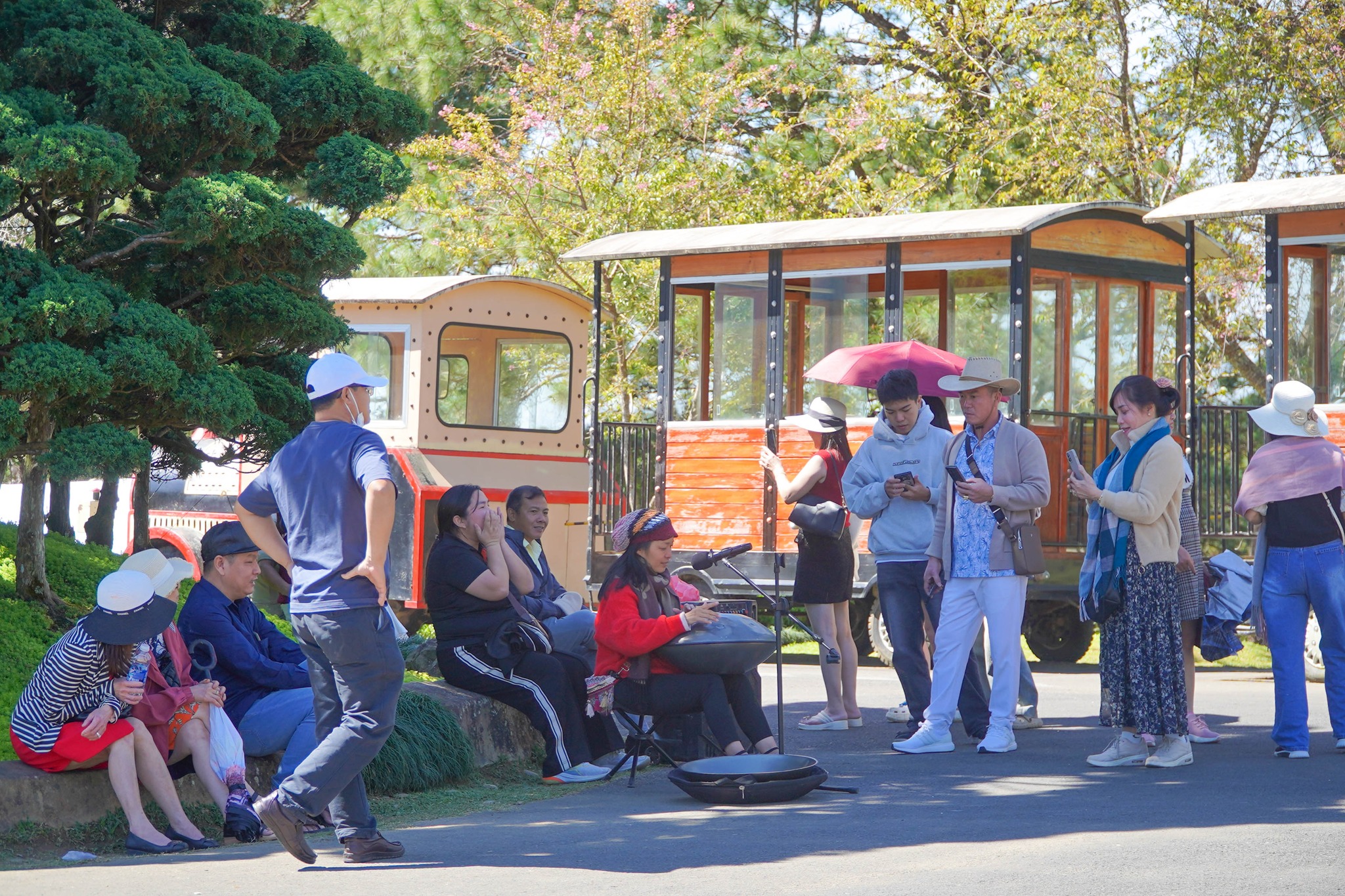 Du lịch Lâm Đồng bội thu dịp Tết Nguyên đán Bính Ngọ 2026 - 1