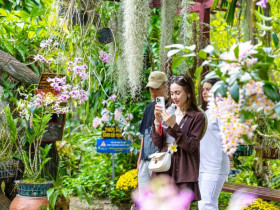  - Du lịch Khánh Hòa khởi sắc dịp Tết Bính Ngọ 2026