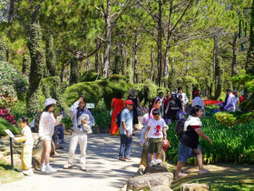  - Du lịch Lâm Đồng bội thu dịp Tết Nguyên đán Bính Ngọ 2026