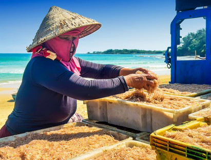  - Giong thuyền rước lộc đầu xuân, mẻ ruốc hồng nồng đượm hương quà biển