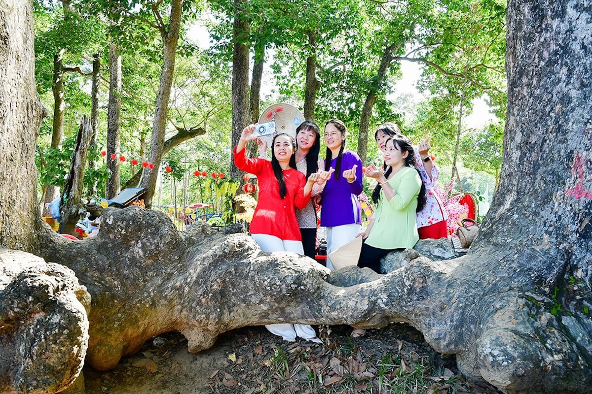 Vĩnh Long sôi động mùa xuân 2026, du lịch tăng mạnh cả khách và doanh thu - 2