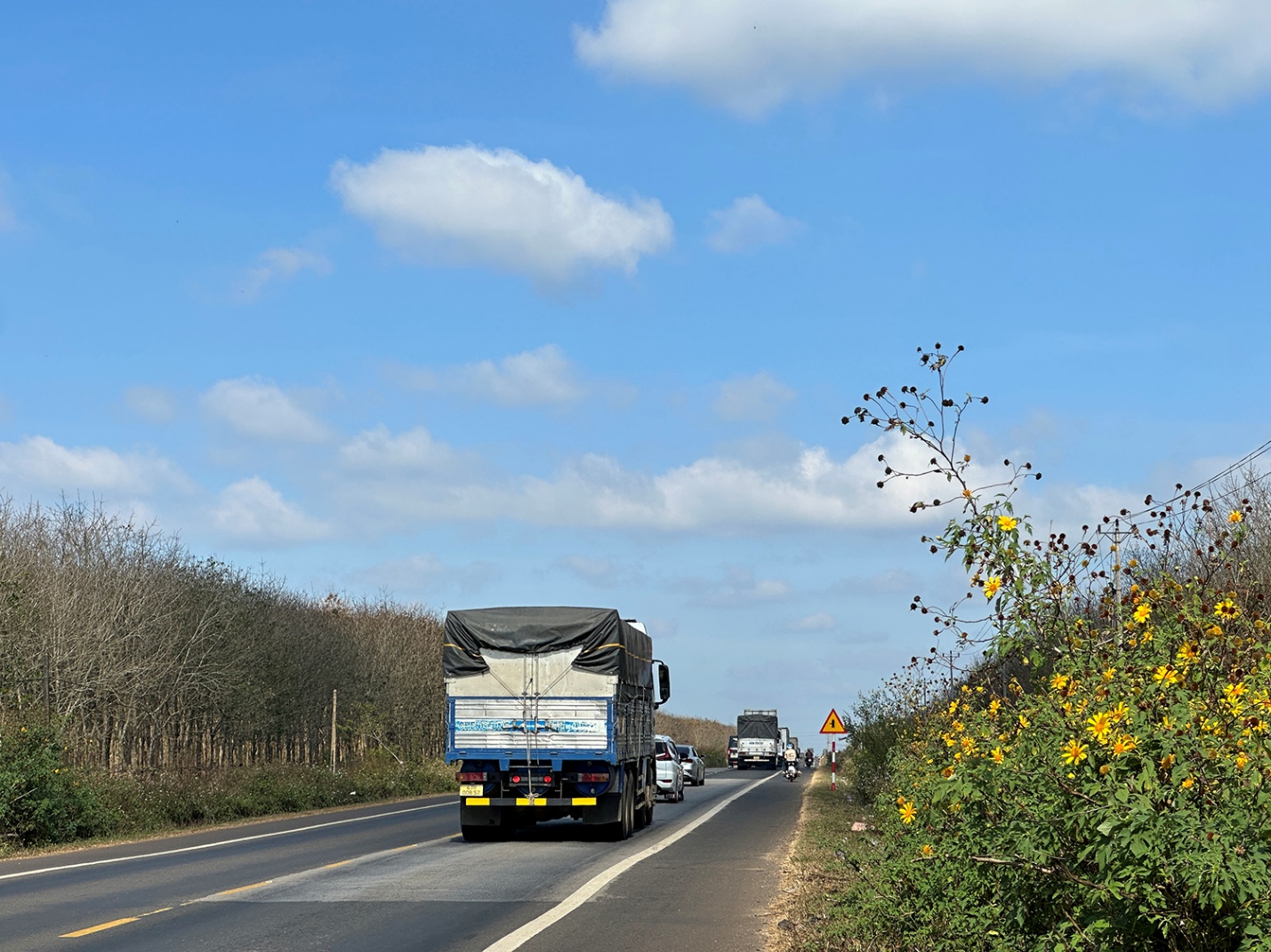 Gia Lai mùa cao su rụng lá - 8