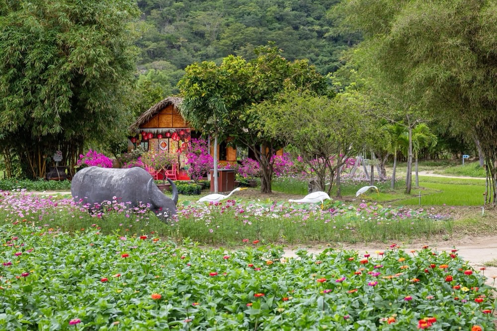 Du lịch Khánh Hòa khởi sắc dịp Tết Bính Ngọ 2026 - 6