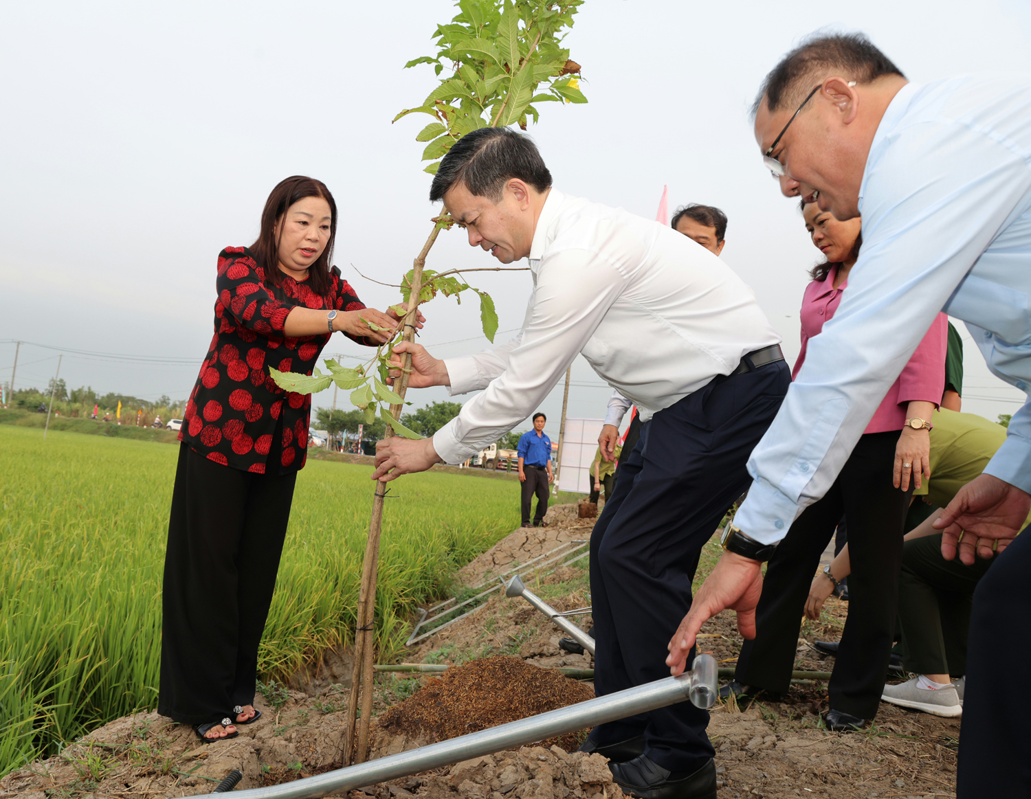 Tổng thu du lịch dịp Tết Bính Ngọ ở Cần Thơ khoảng 640 tỷ đồng - 5