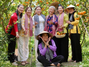  - Đồng Tháp hút hơn 422.000 lượt khách dịp Tết, doanh thu đạt 170 tỷ đồng