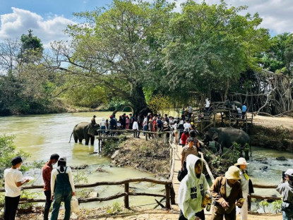 Doanh thu du lịch Đắk Lắk ước đạt hơn 457 tỷ đồng dịp đầu năm mới